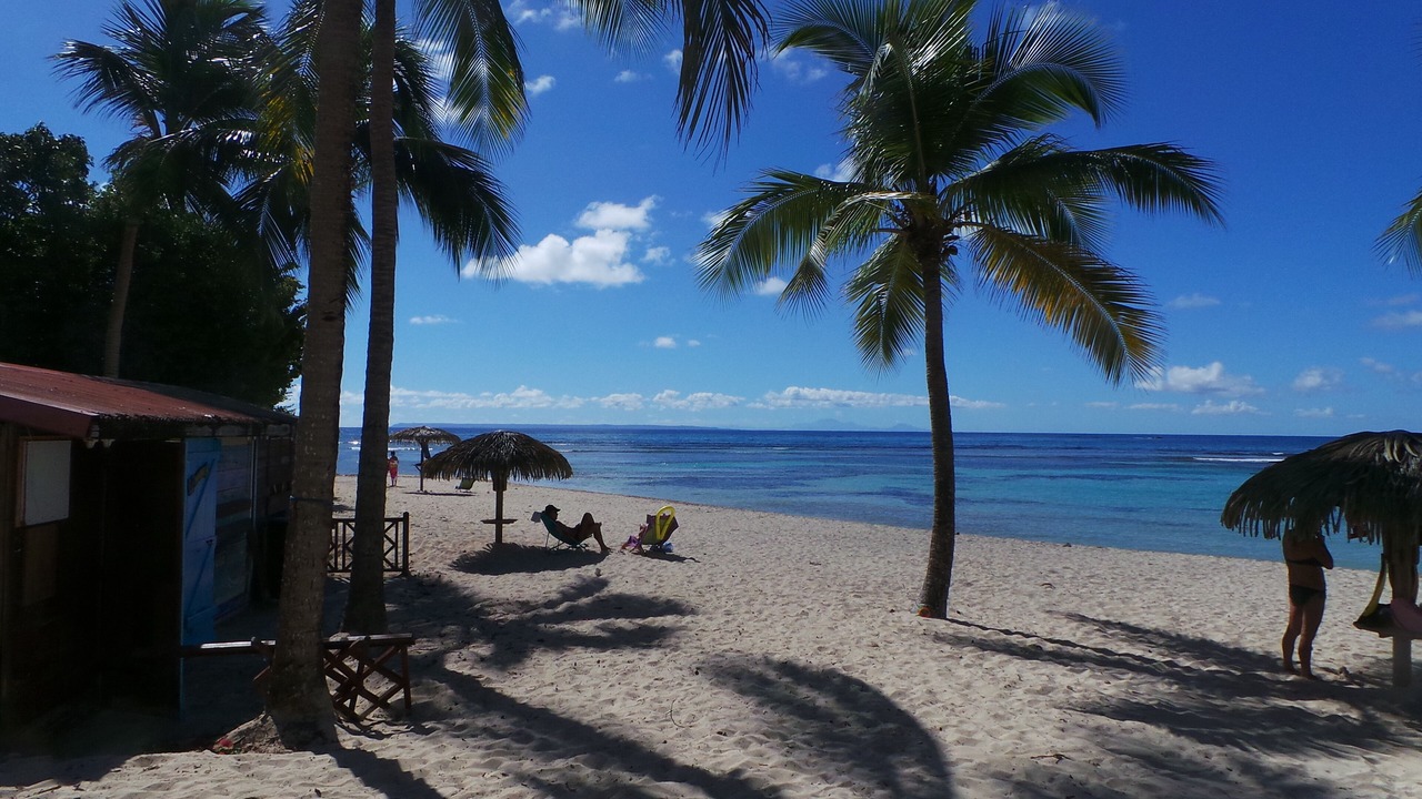 Photo of Others in Anse des Rochers