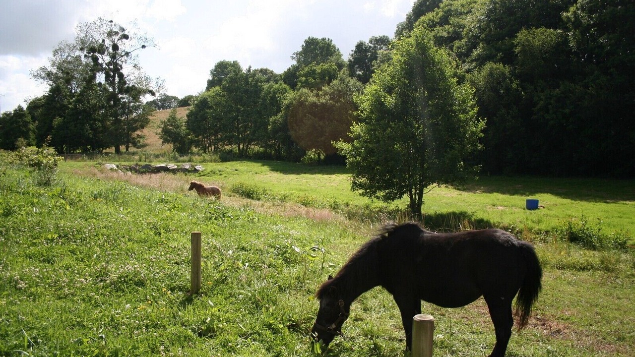 Photo of Others in Saint-Martin-des-Champs