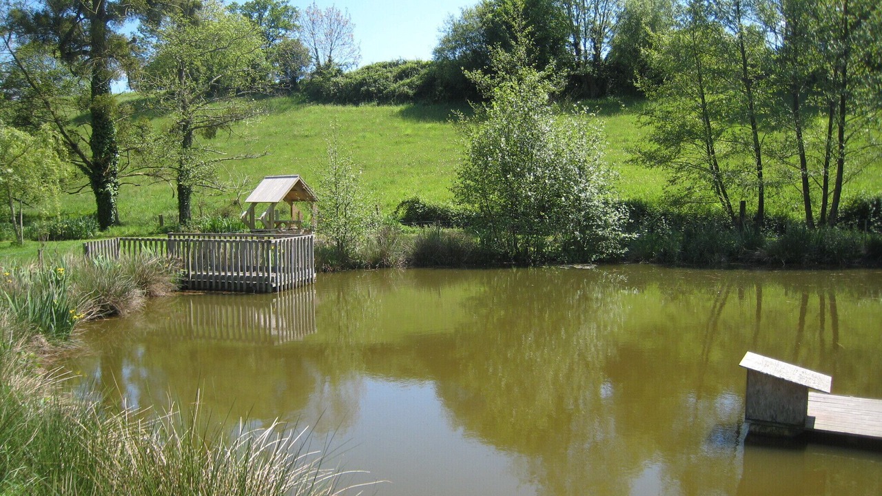 Photo of Outdoor in Saint-Martin-des-Champs