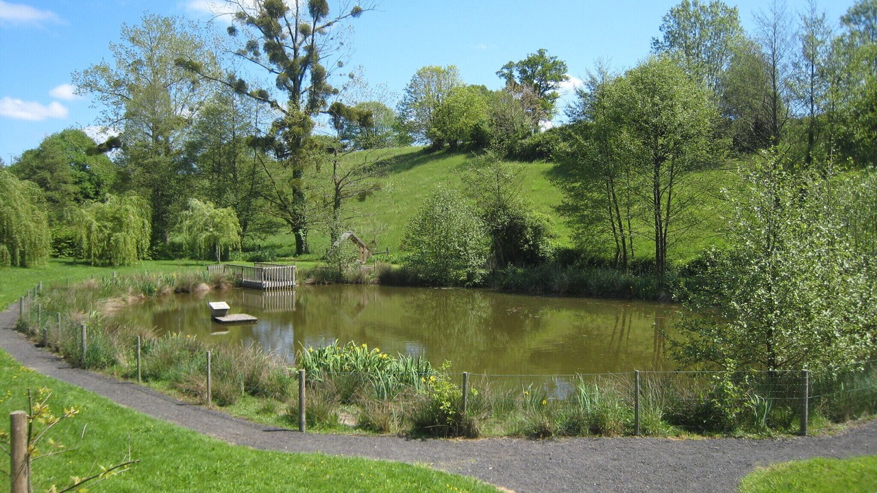 Photo of Outdoor in Saint-Martin-des-Champs