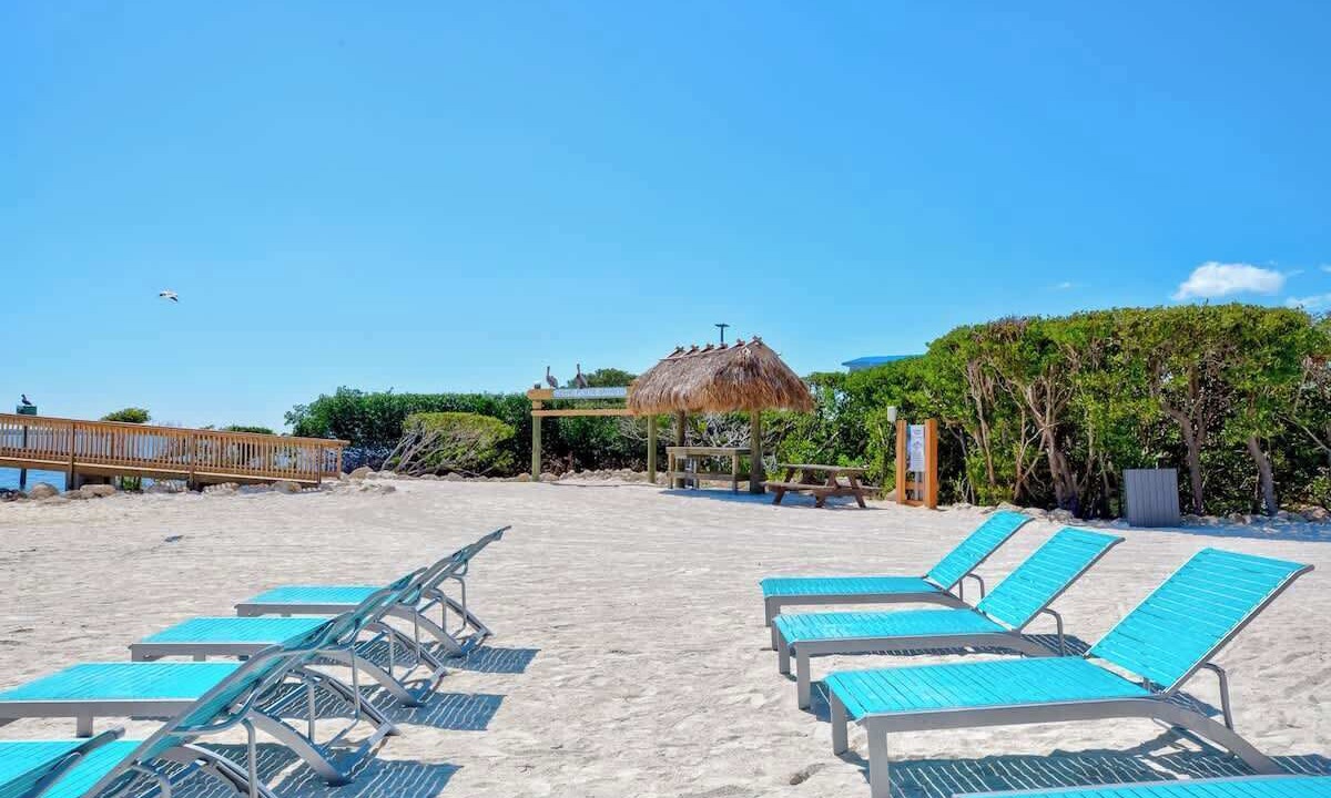 Photo of Others in Tavernier