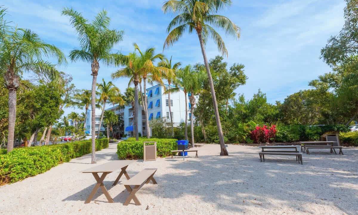 Photo of Outdoor in Tavernier