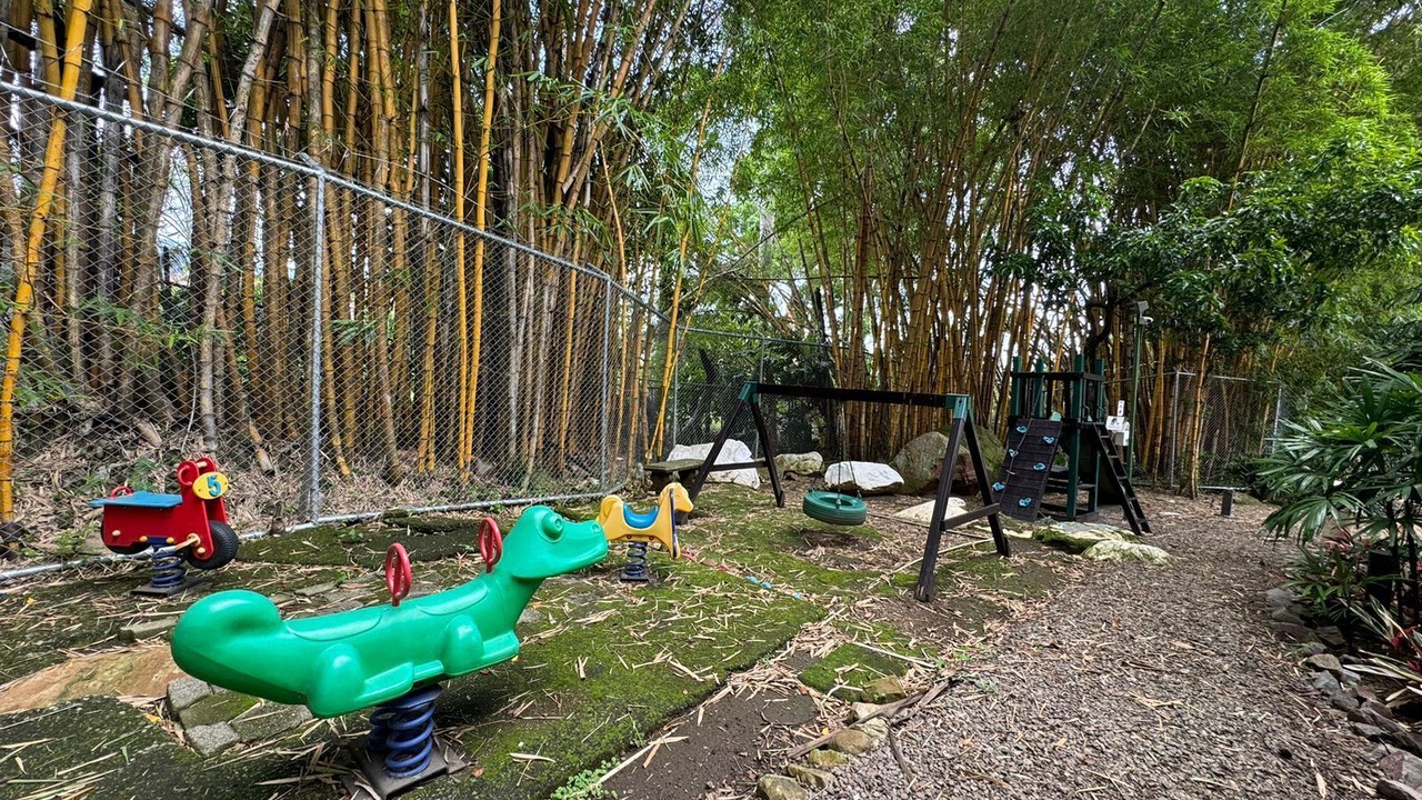 Photo of Others in Escazu