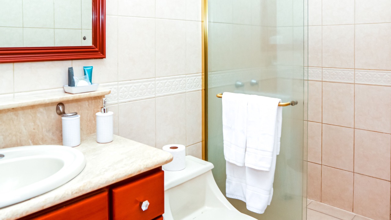 Photo of Bathroom in Escazu