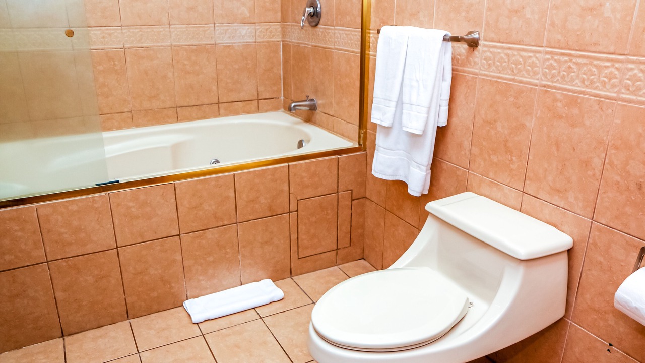 Photo of Bathroom in Escazu