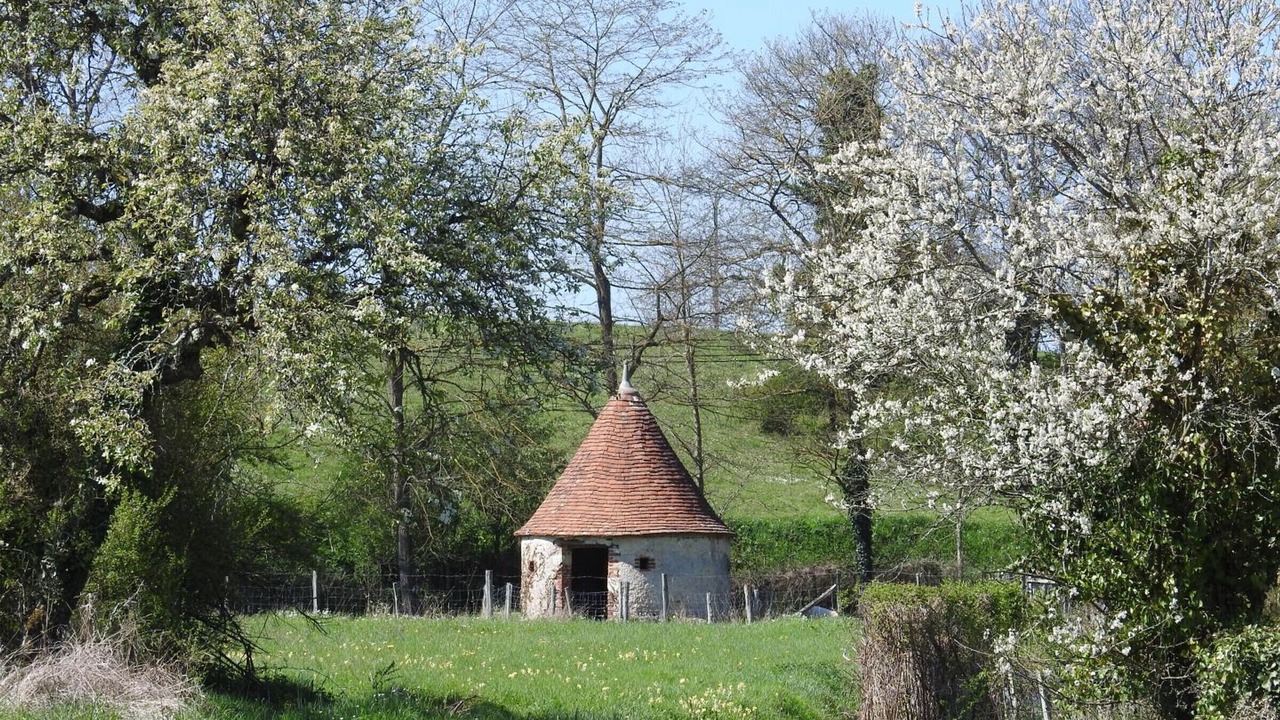 Photo of Outdoor in Cangey