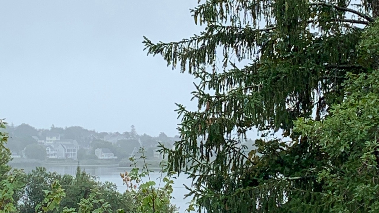 Photo of Outdoor in Bonnet Shores