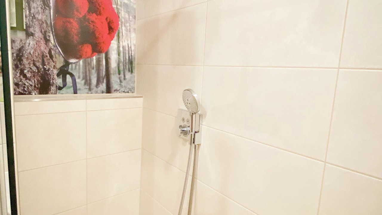 Photo of Bathroom in Titisee-Neustadt