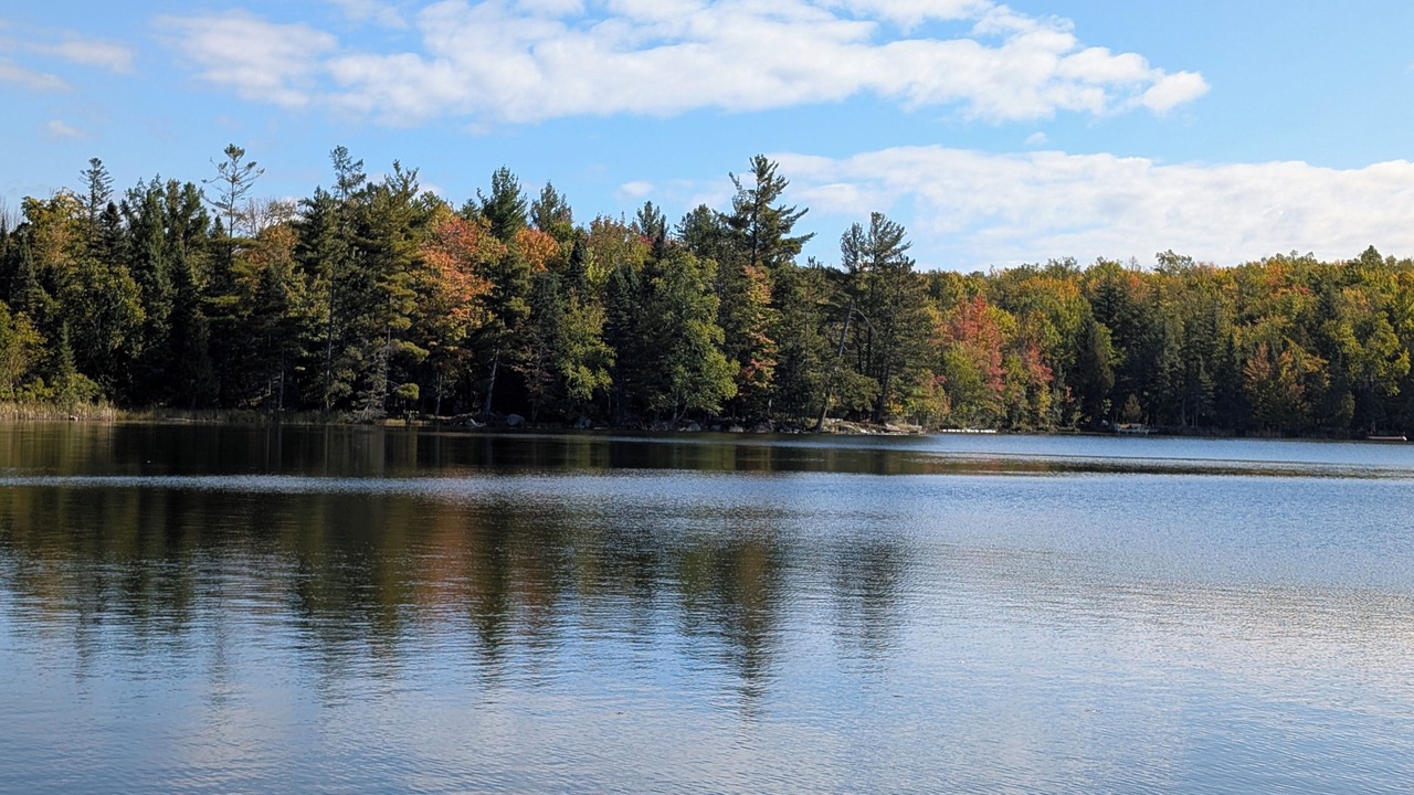 Photo of Others in Armstrong Creek