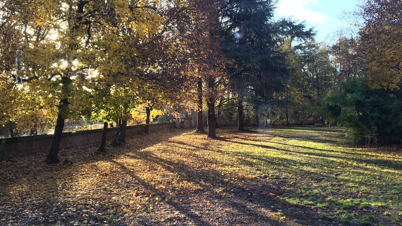 Photo of Outdoor in Salbris