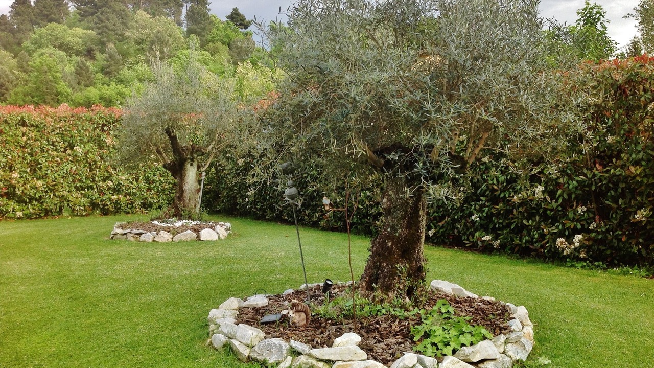 Photo of Outdoor in Vicopelago