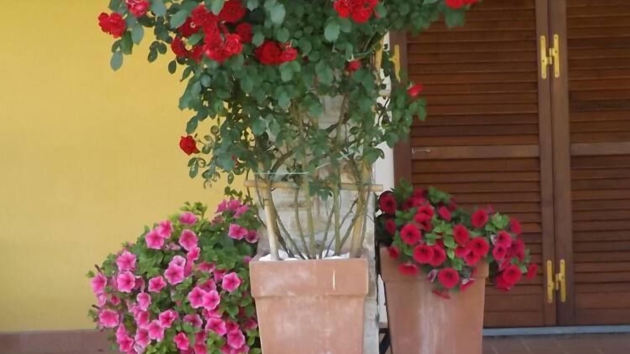 Photo of Outdoor in Vicopelago