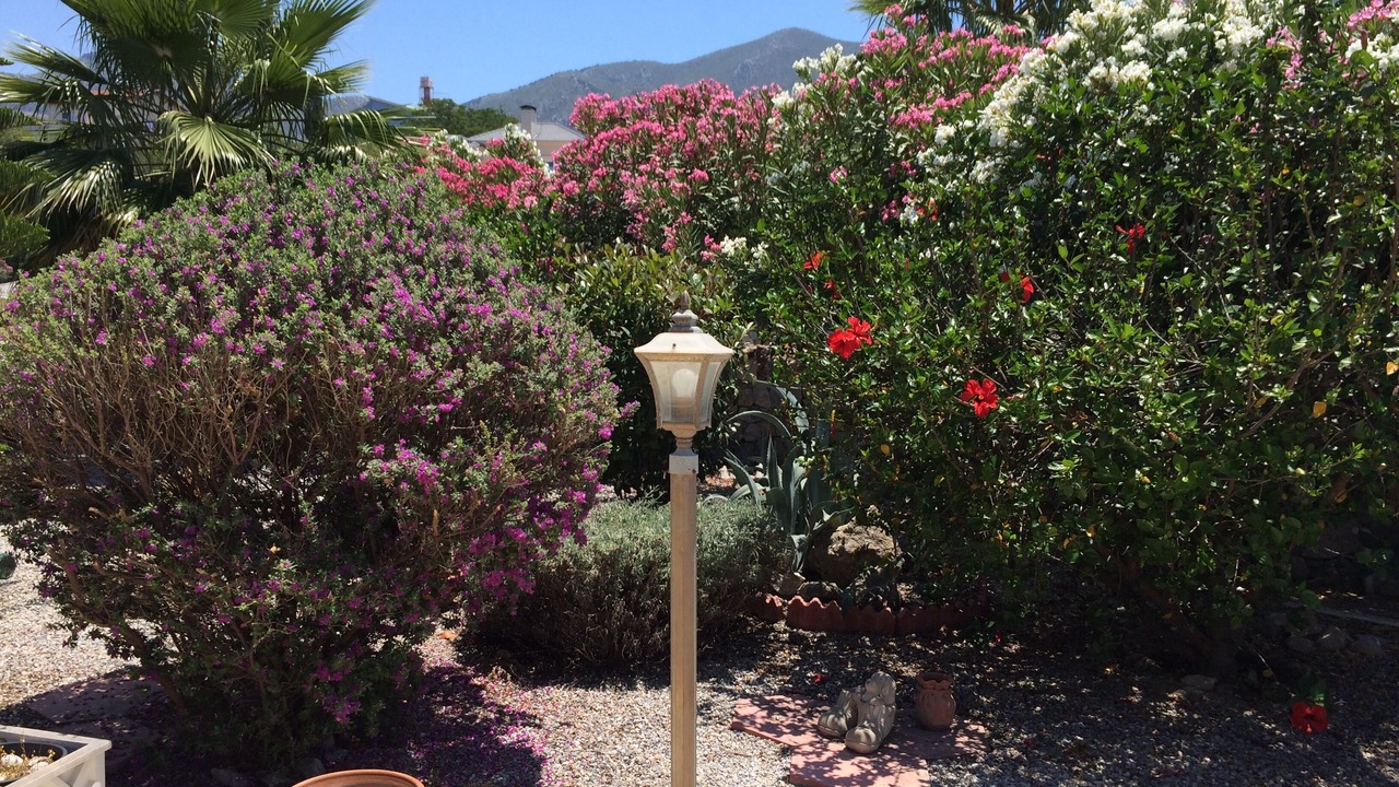 Photo of Outdoor in Ozankoy