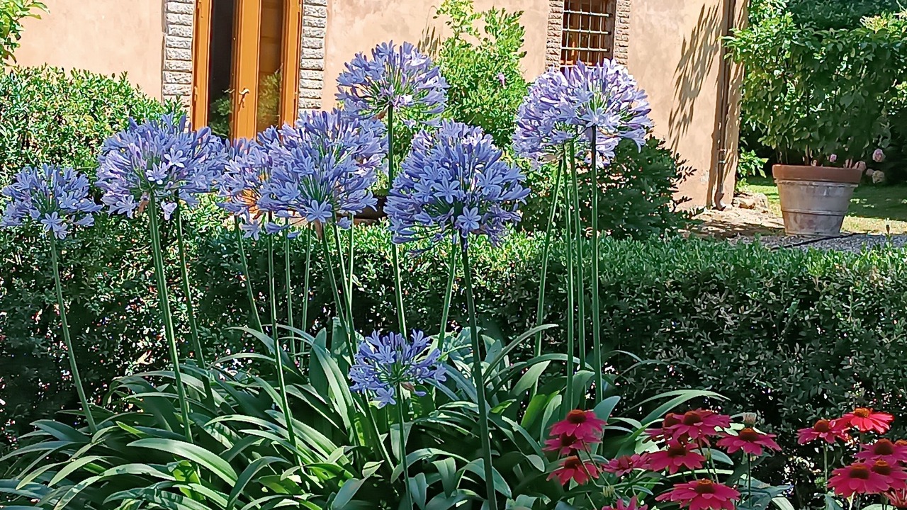 Photo of Outdoor in Vorno