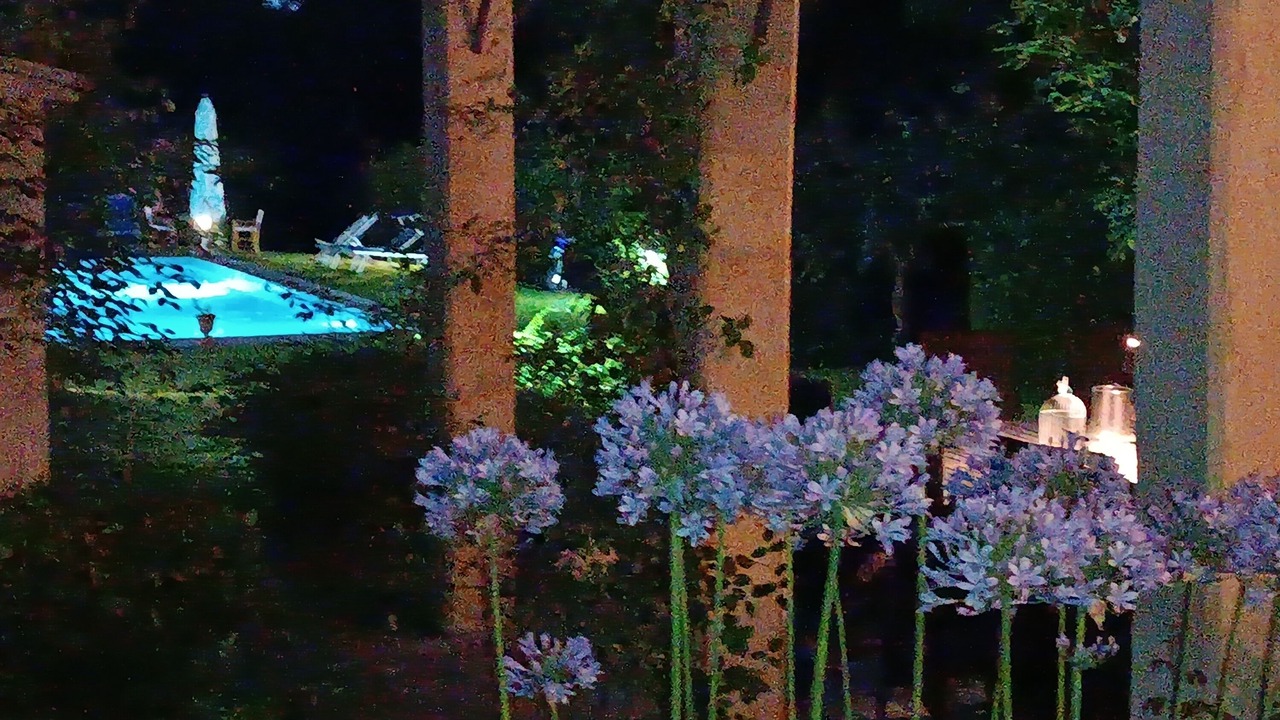 Photo of Outdoor in Vorno