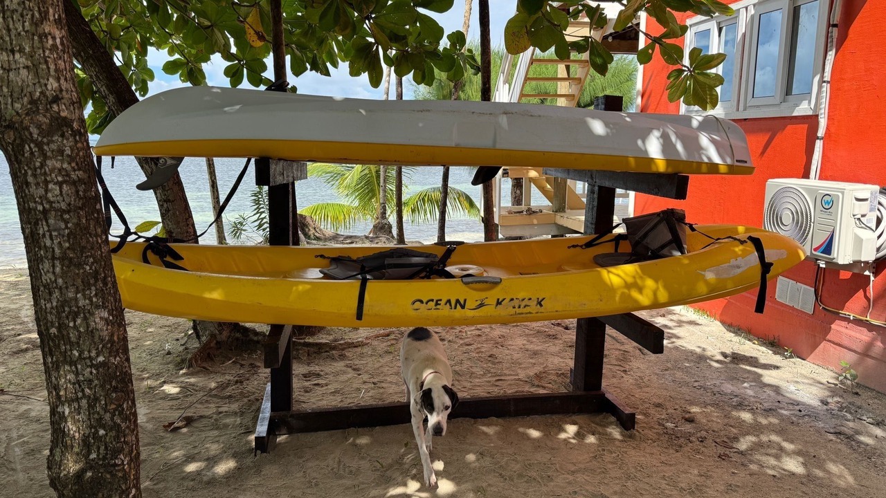 Photo of Others in Roatan