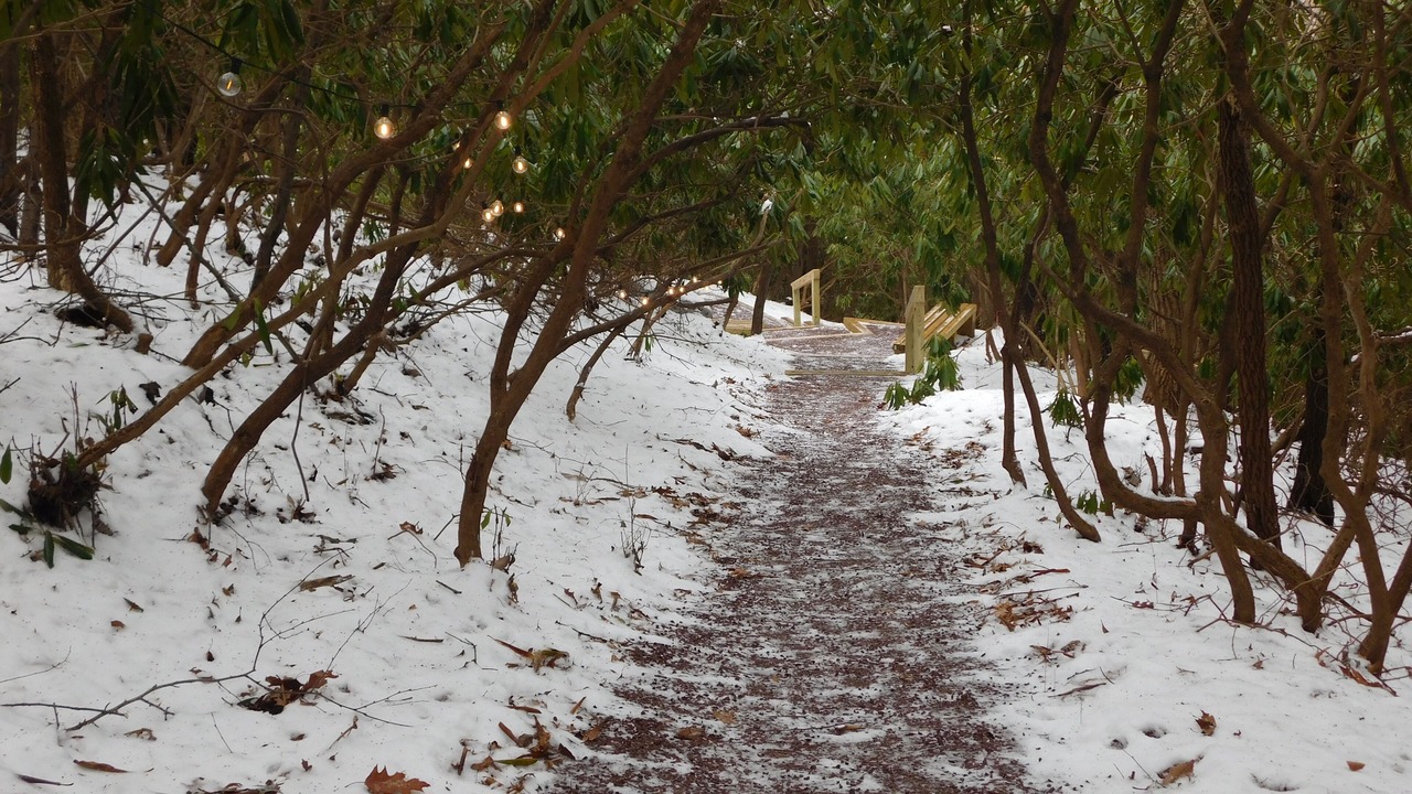 Photo of Outdoor in Ashfield