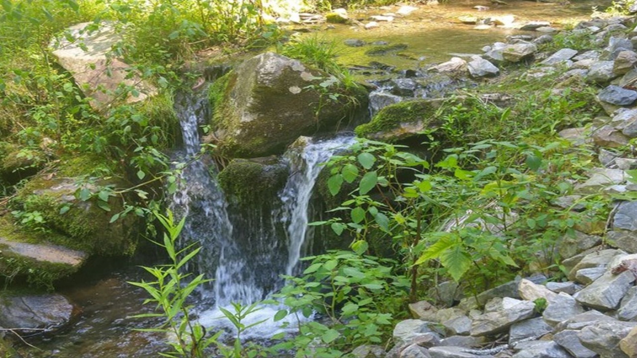 Photo of Outdoor in Topton
