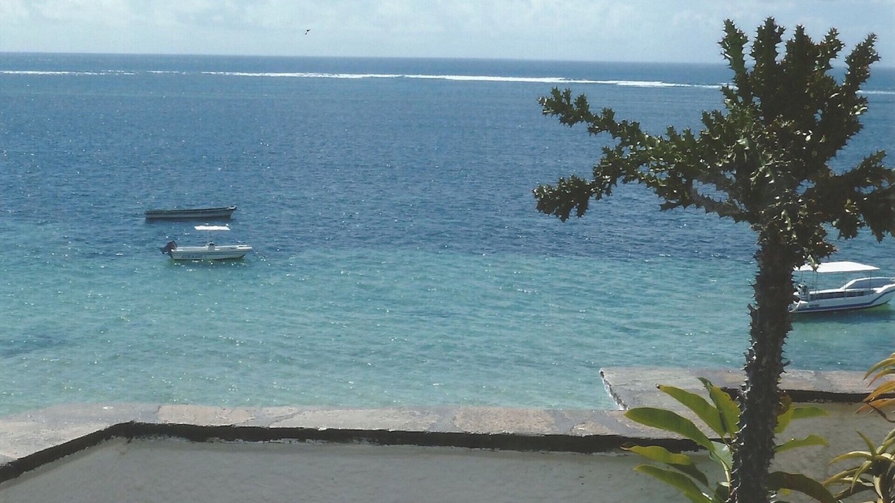 Photo of Others in Malindi Marine National Park