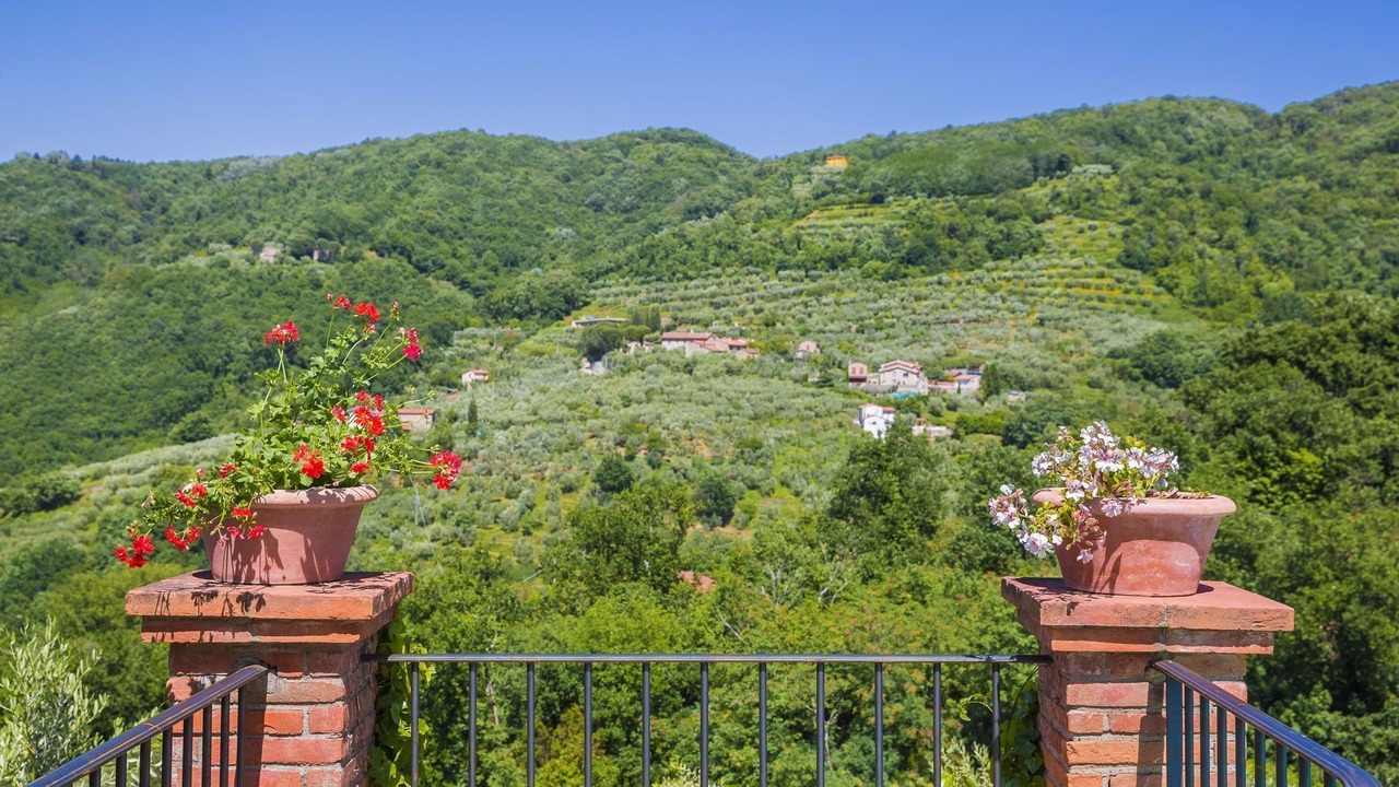 Photo of Outdoor in Monsummano Terme