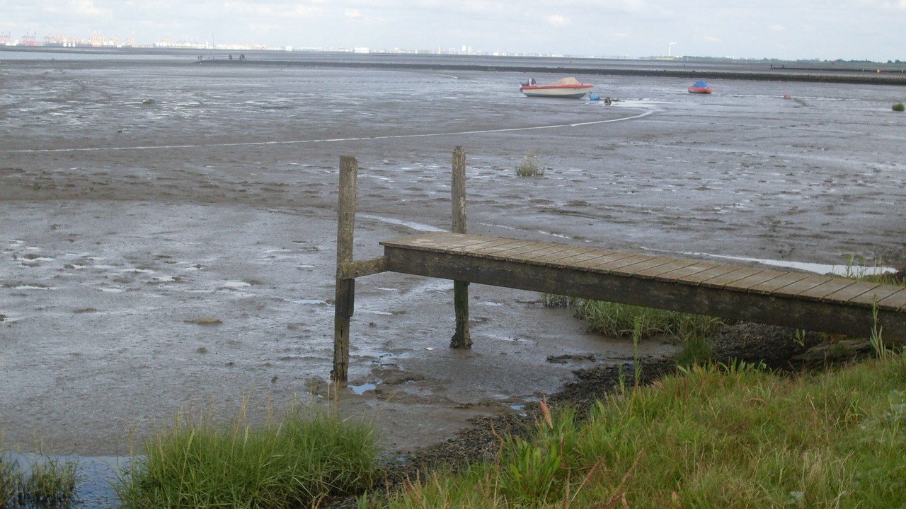 Photo of Others in Nordseebad Burhave