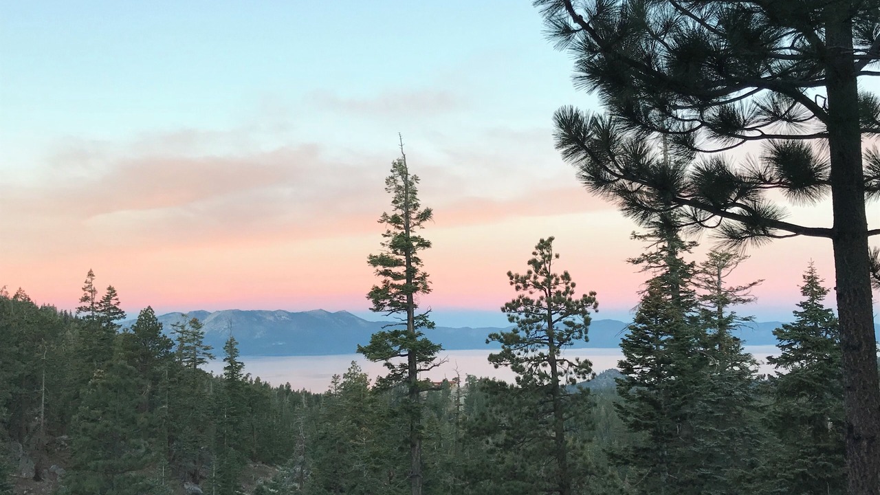 Photo of Others in Tahoe Village
