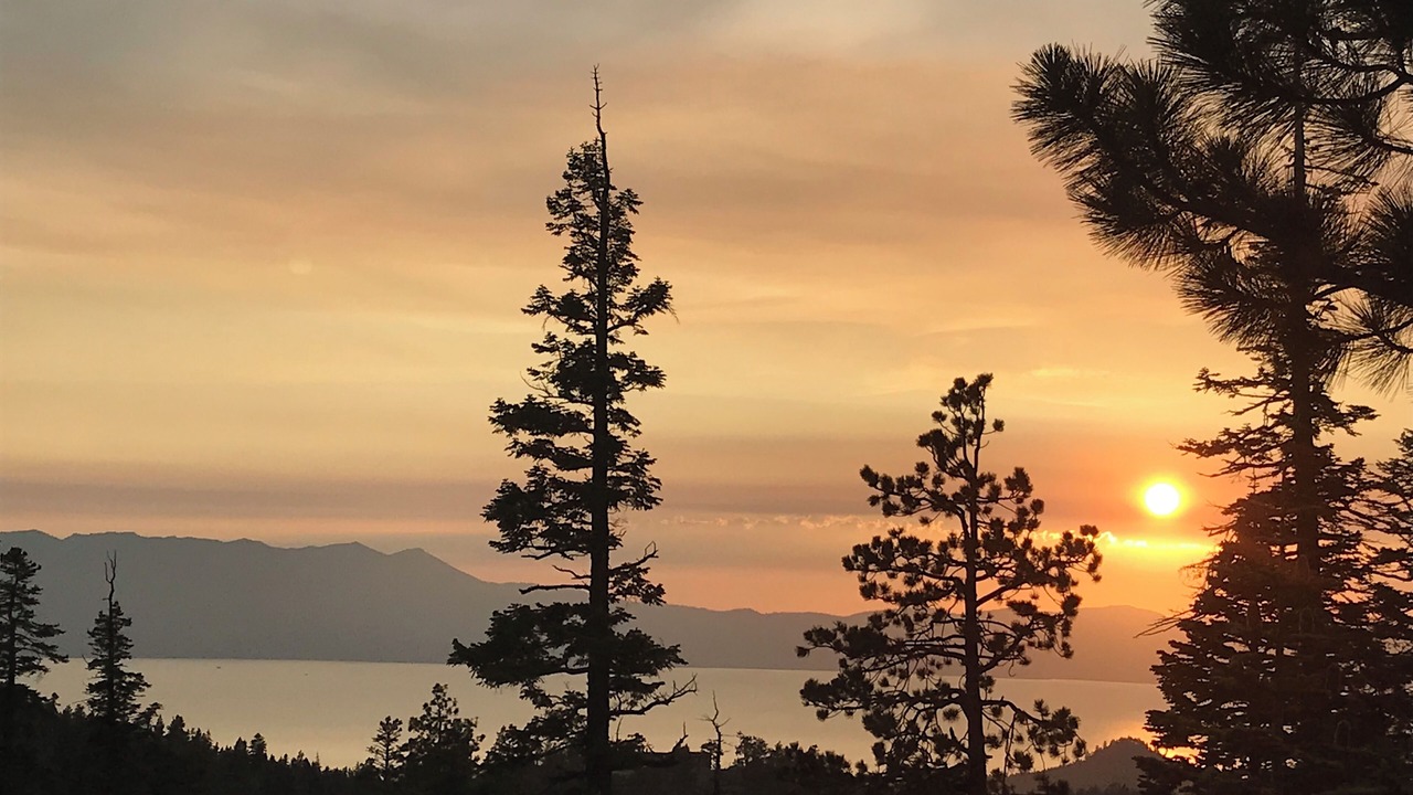 Photo of Others in Tahoe Village
