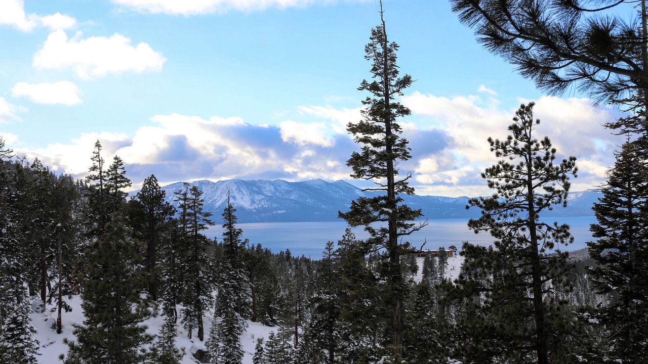 Photo of Outdoor in Tahoe Village