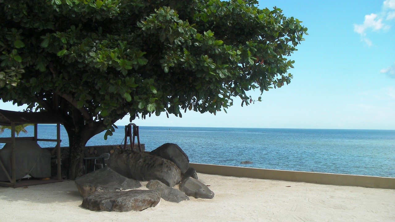 Photo of Others in Port Louis