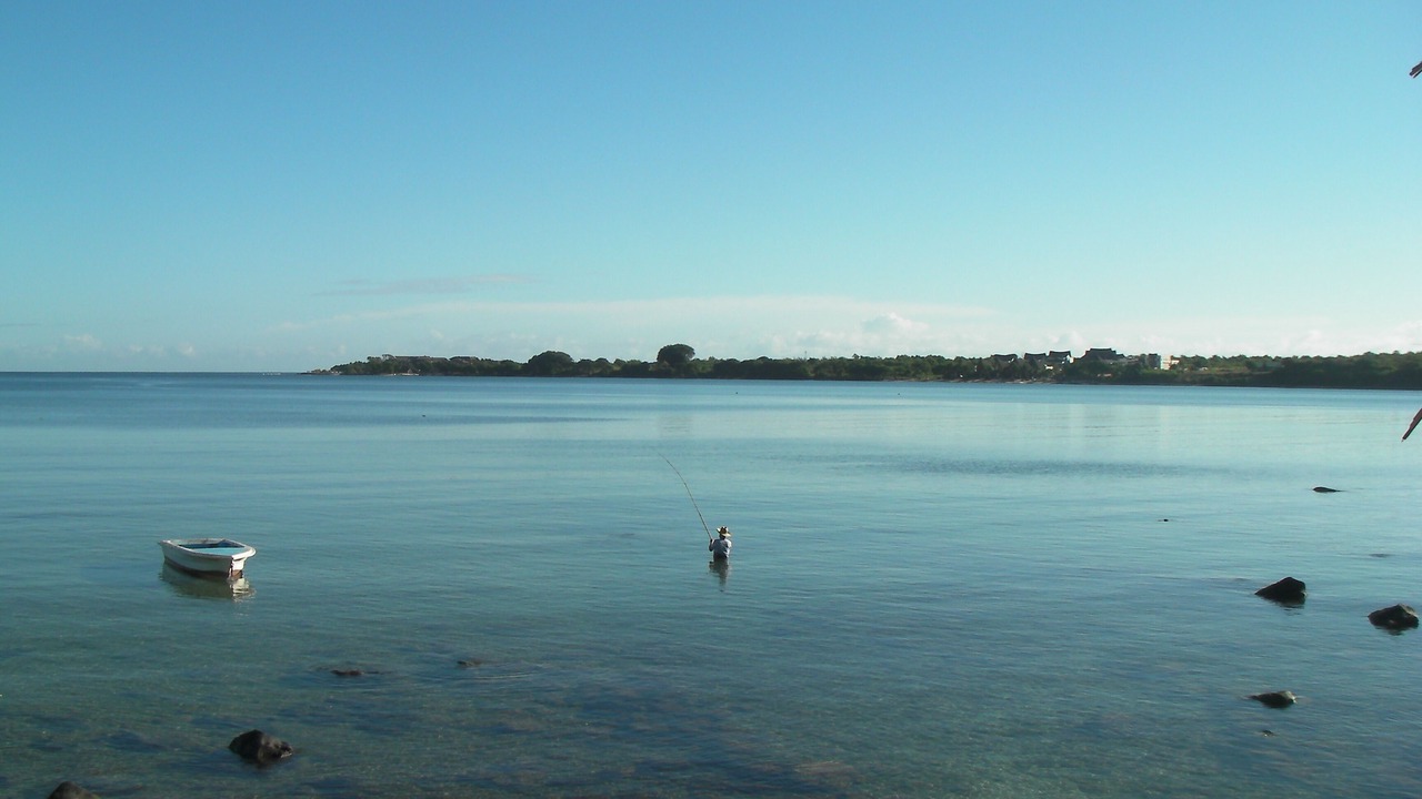 Photo of Others in Port Louis