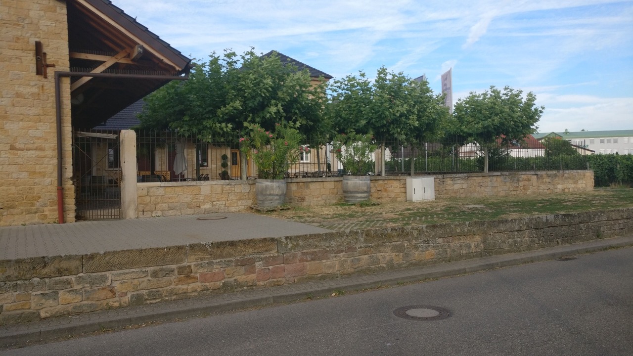 Photo of Outdoor in Deidesheim