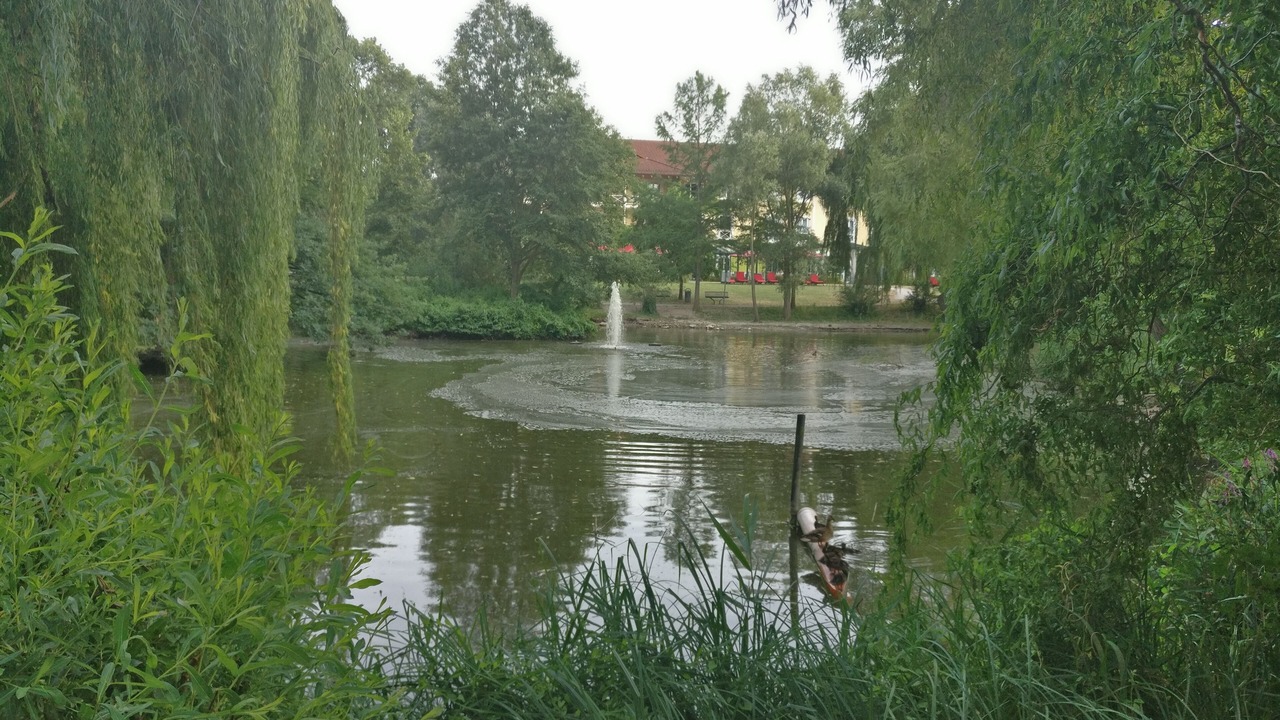 Photo of Outdoor in Deidesheim