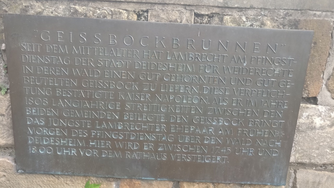 Photo of Outdoor in Deidesheim