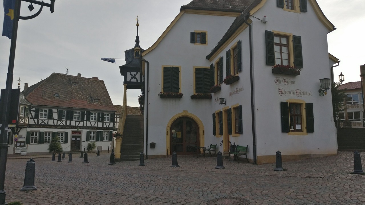 Photo of Outdoor in Deidesheim