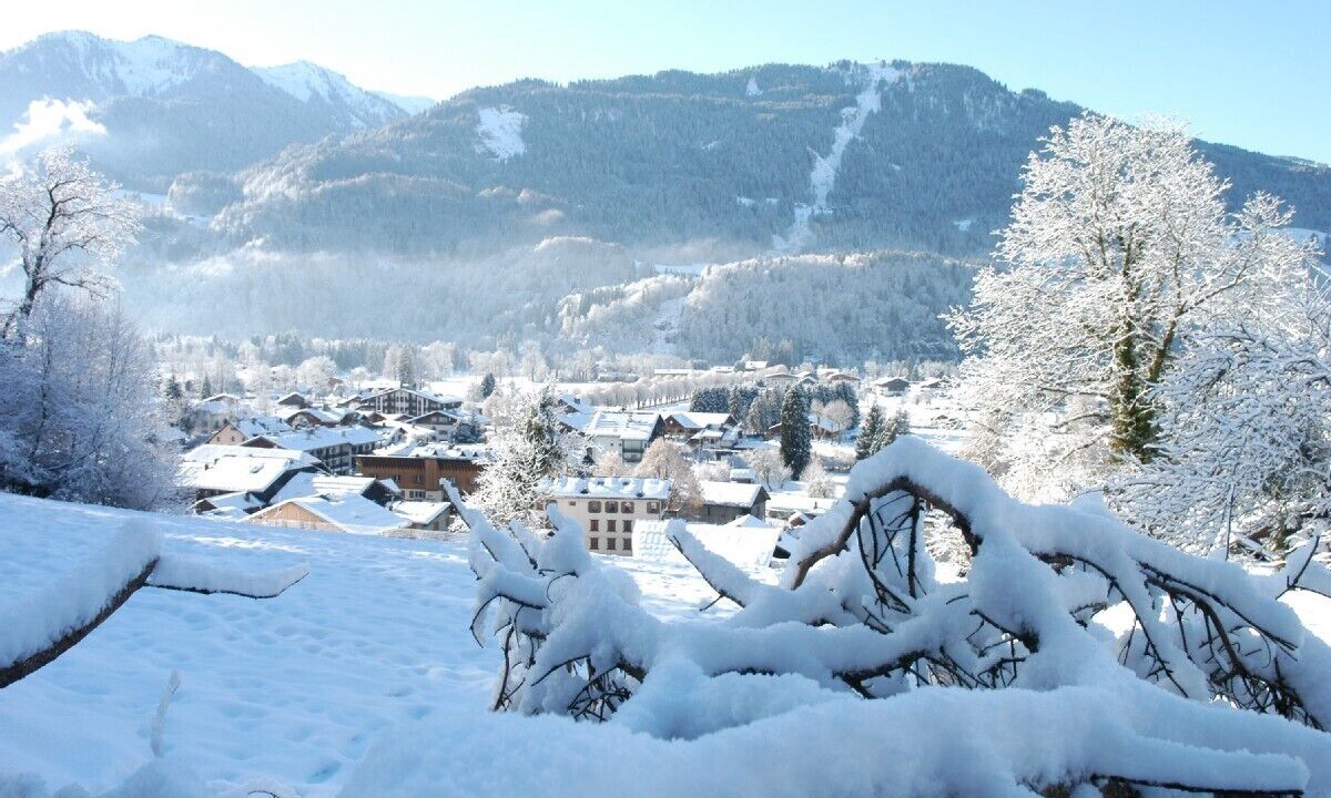 Photo of Patio Balcony in Samoens
