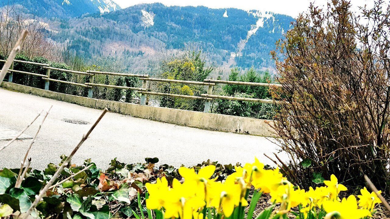Photo of Others in Samoens