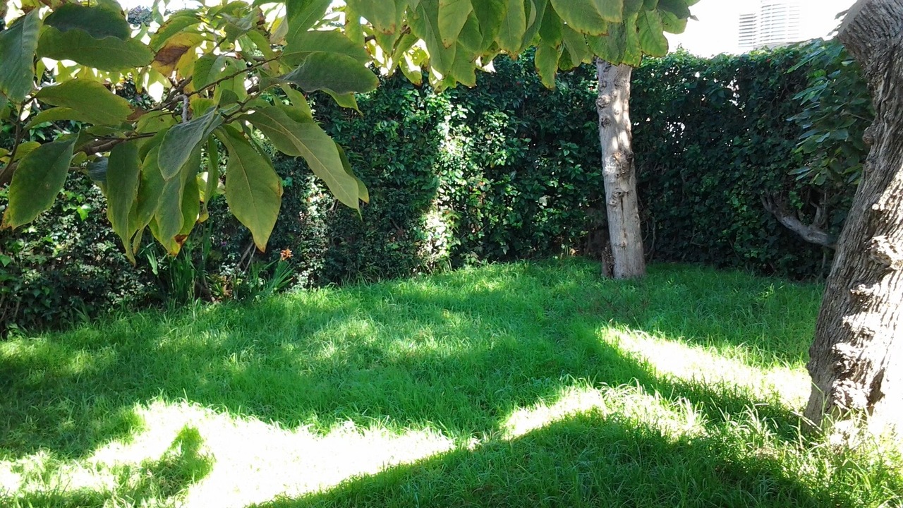 Photo of Outdoor in Souissi
