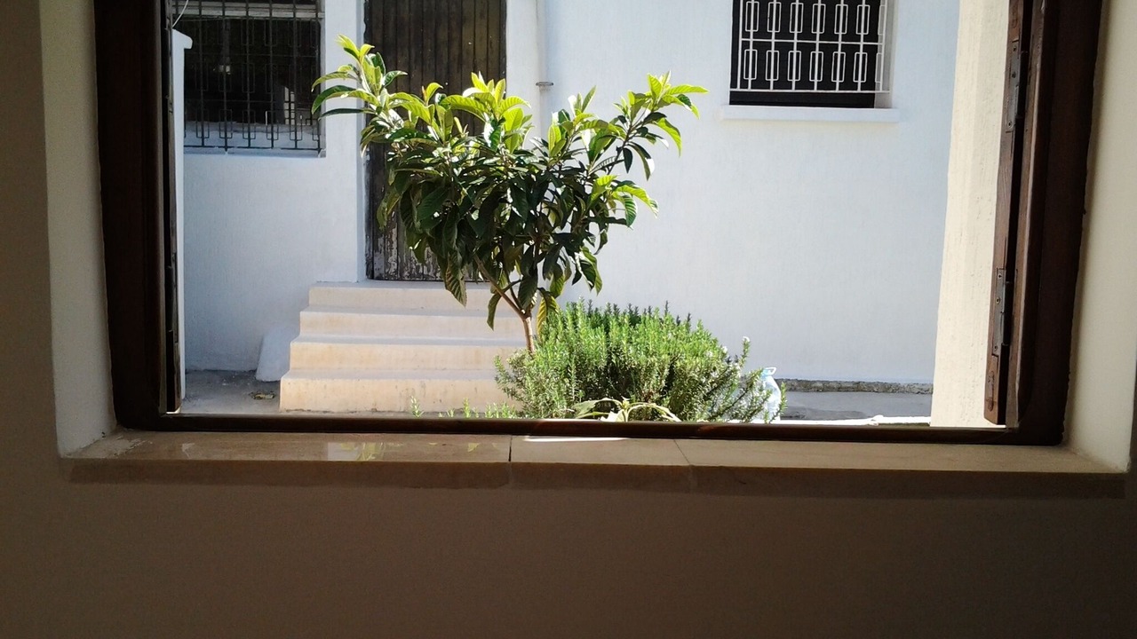 Photo of Others in Souissi