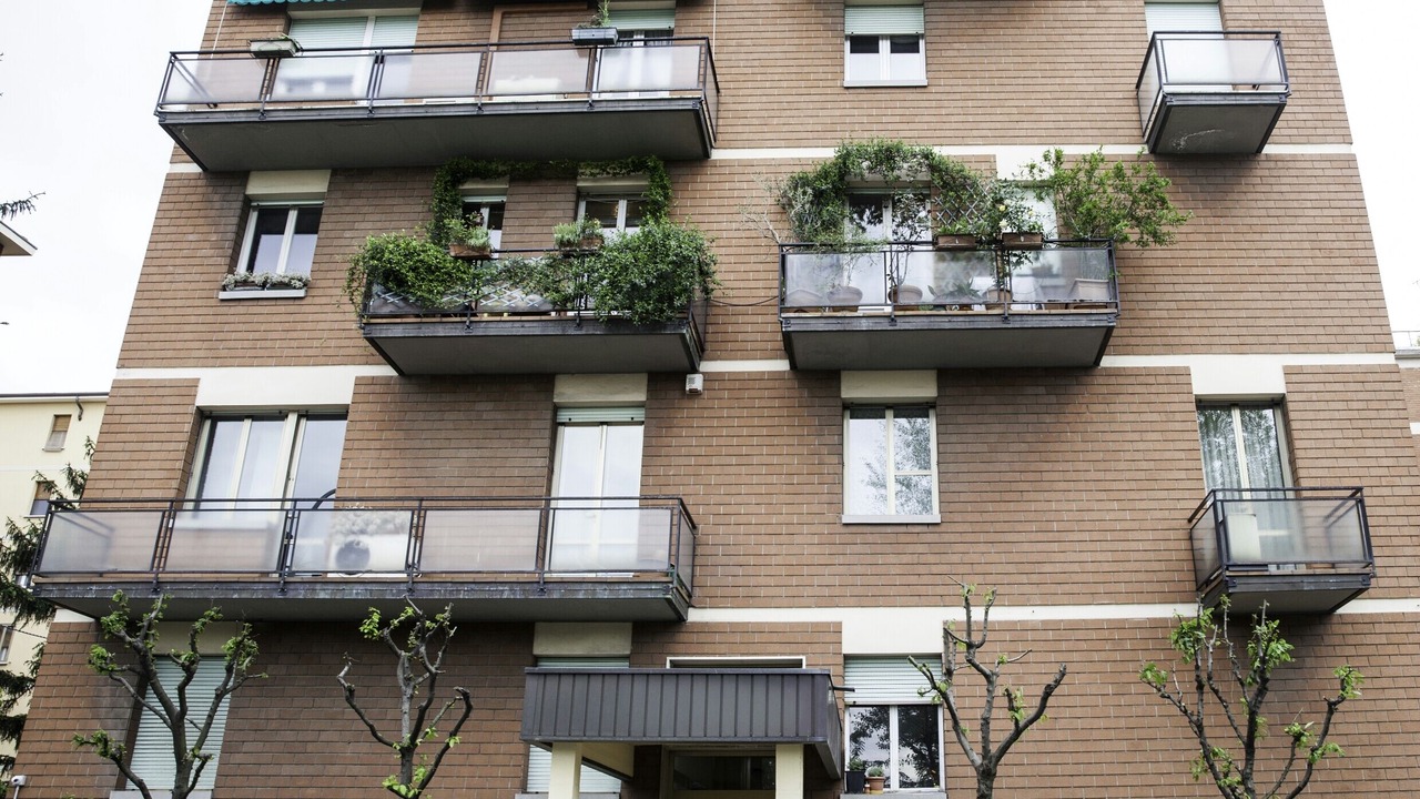Photo of Outdoor in San Donato