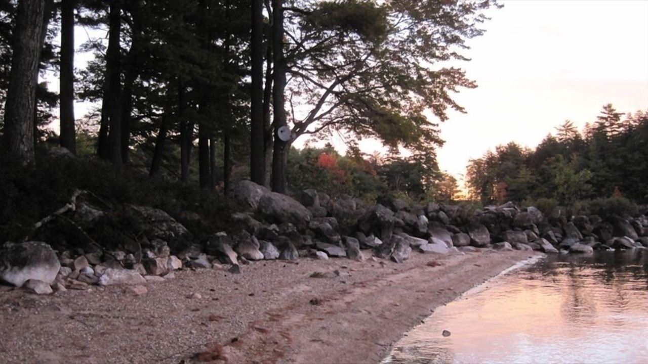 Photo of Others in South Casco