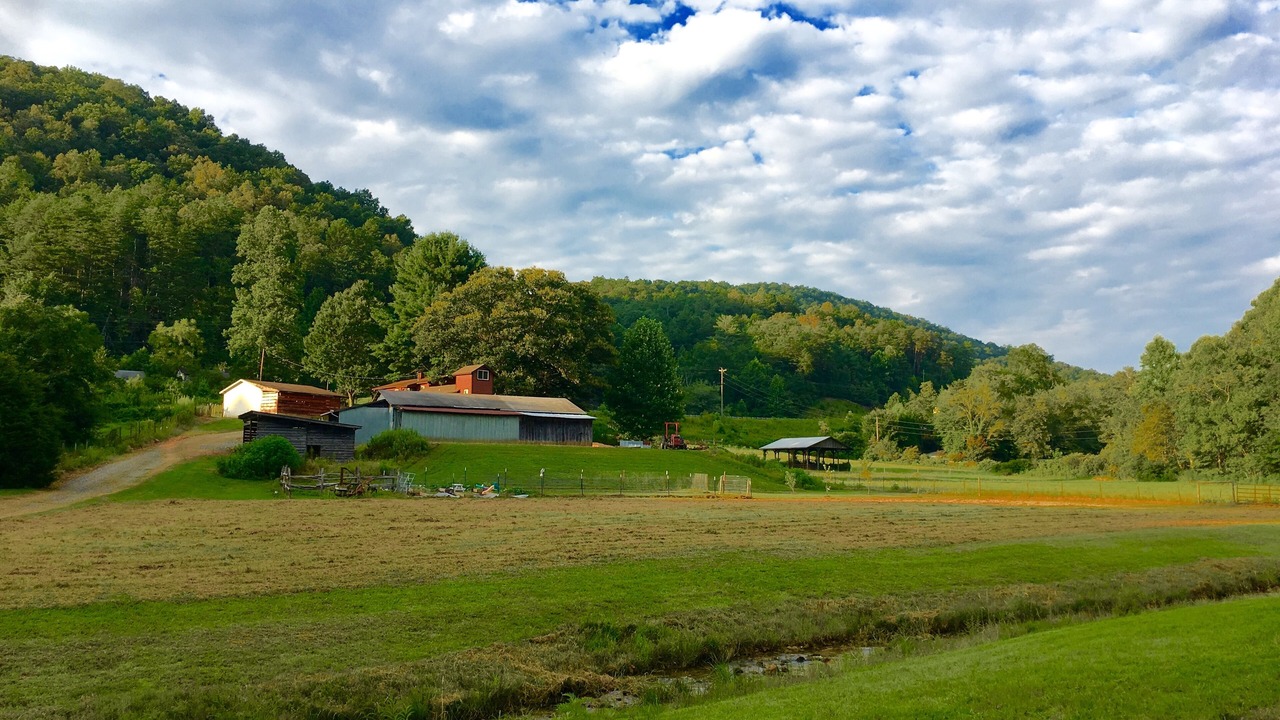 Photo of Outdoor in Clayton
