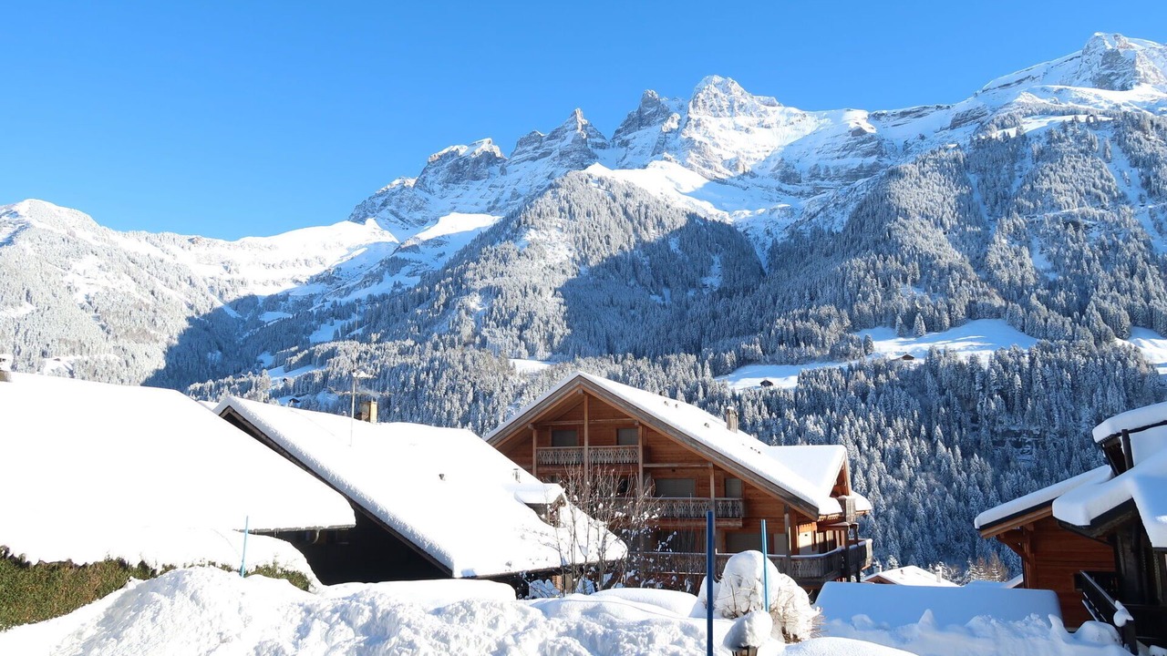 Photo of Others in Champery