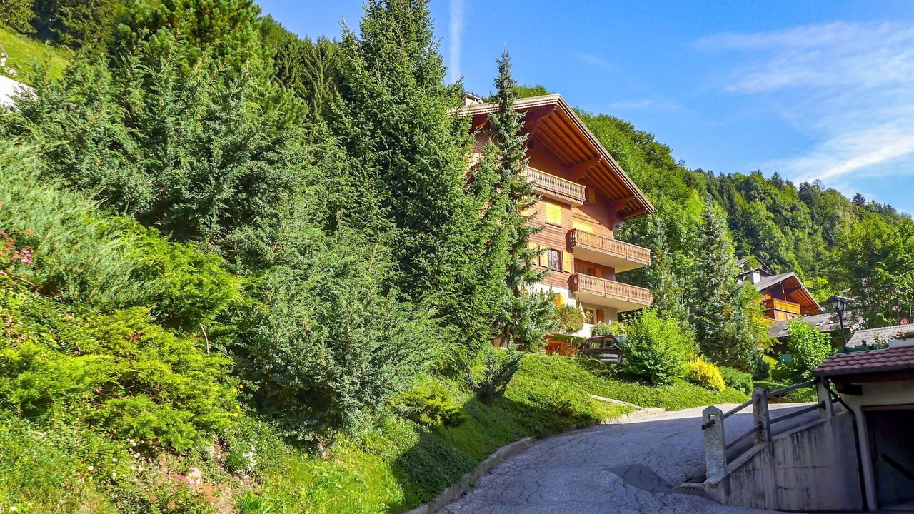 Photo of Others in Champery