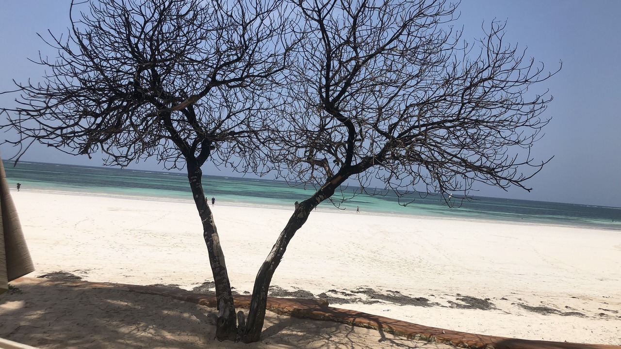 Photo of Others in Galu Beach