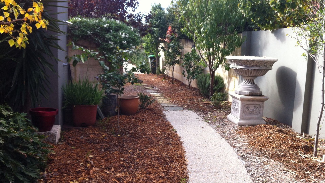 Photo of Outdoor in Mount Lawley