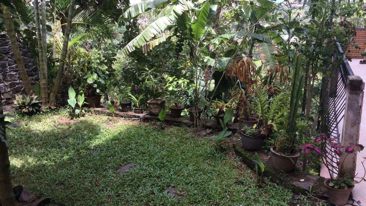 Photo of Outdoor in Kandy