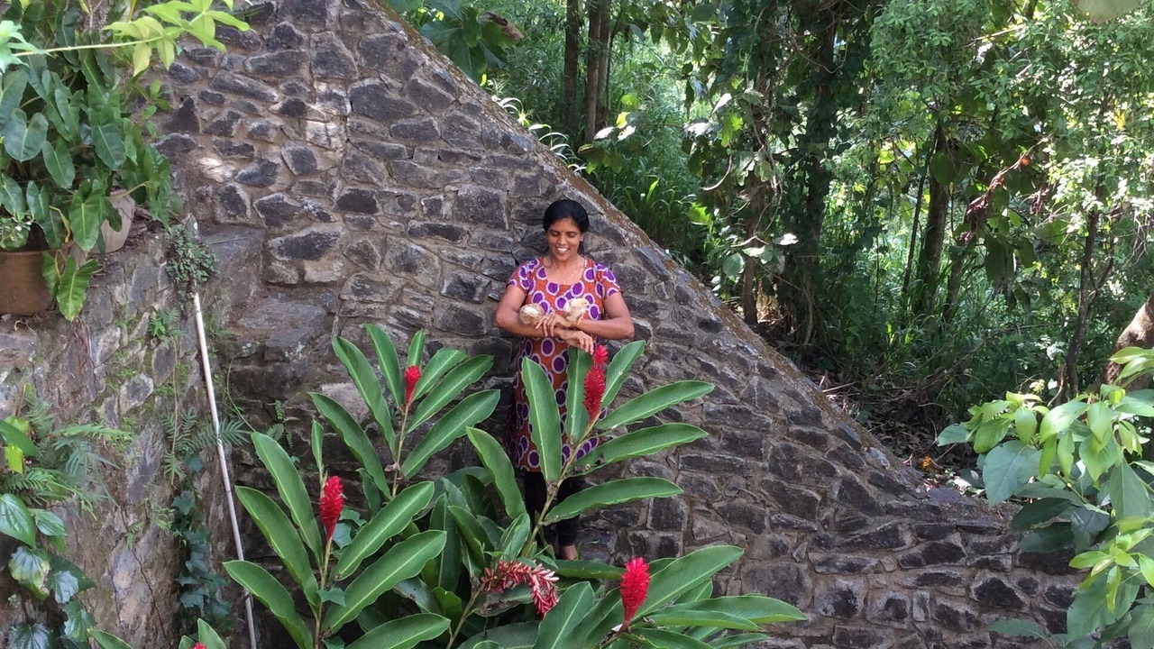 Photo of Outdoor in Kandy