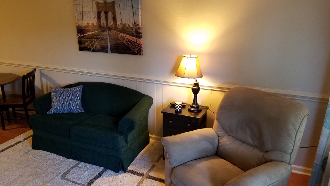 Photo of Livingroom in Rabun Gap
