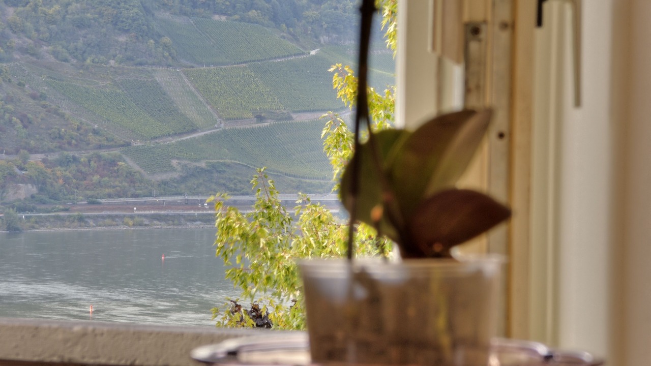 Photo of Others in Boppard