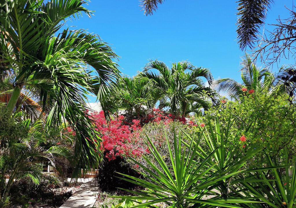 Photo of Outdoor in Saint-Francois